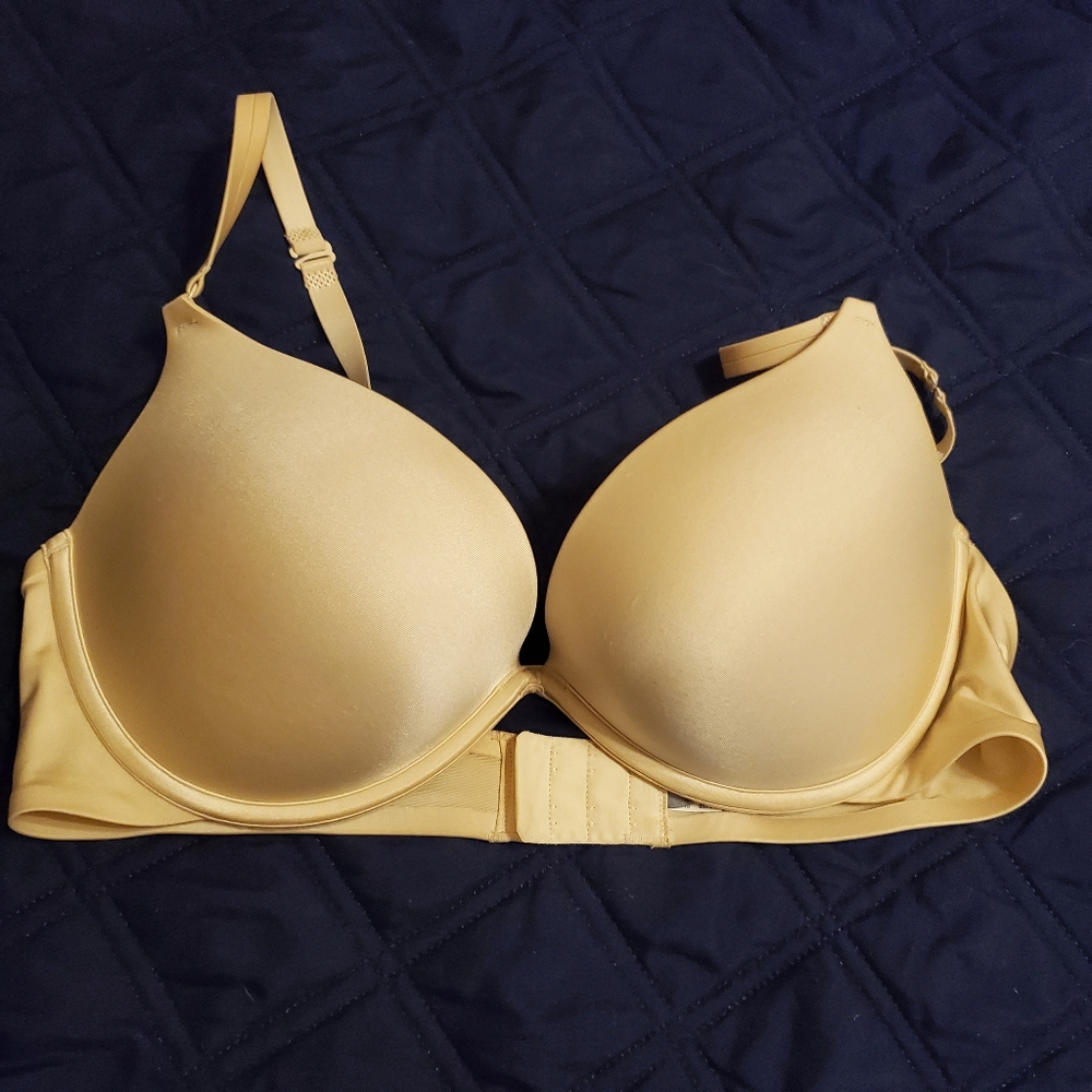 Aerie Pushup bra 36D